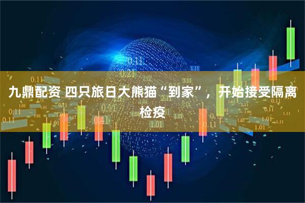 九鼎配资 四只旅日大熊猫“到家”，开始接受隔离检疫