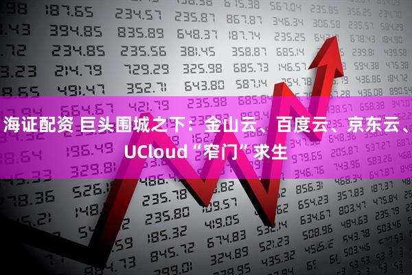 海证配资 巨头围城之下:金山云、百度云、京东云、UCloud“窄门”求生